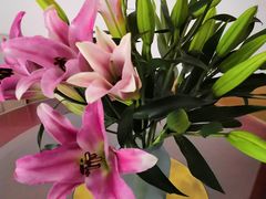 -秦美花卉(天朗·莱茵小城2期店)