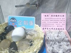 -南昌海洋公园
