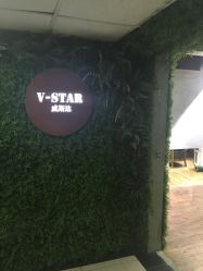 -V-STAR威斯达•高级私人定制
