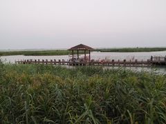 -苏州太湖湖滨国家湿地公园