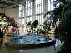 -中家鑫园温泉酒店鑫悦汤泉