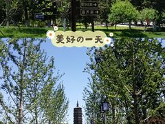 -西海子公园