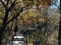 -帽儿山国家森林公园