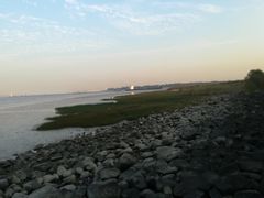 -吴淞炮台湾湿地森林公园烧烤区