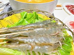 -燃计沙茶皇·香港沙茶火锅(人广旗舰店)
