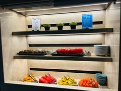 -新加坡乌节希尔顿酒店 (SG Clean)