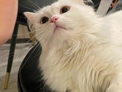 -小海豚国际游泳培训中心(浦东塘桥店)