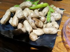 -风暴音乐烧烤串吧