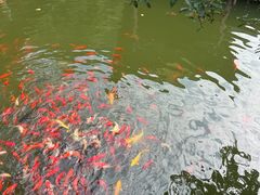 -华清宫景区