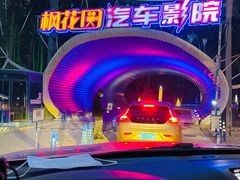 -枫花园汽车电影院(朝阳公园店)