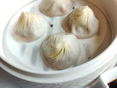 -圆苑(金茂店)