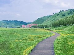 -关山草原