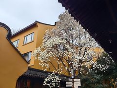 -龙华寺