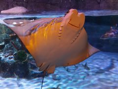 -沈阳海洋探索中心