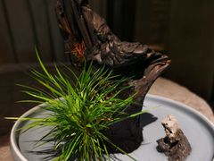 -觀芷隐轩