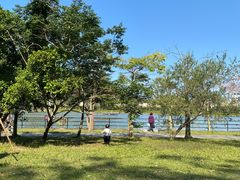 -风云岭森林公园