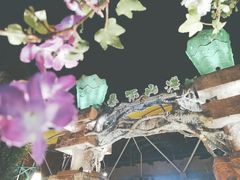 -横店影视城梦幻谷园区