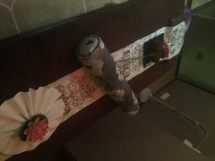 北纬37°SPA会所-北纬37°SPA养身会馆(湖西店)