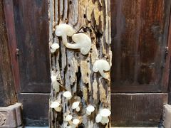 -深圳隐秀山居酒店