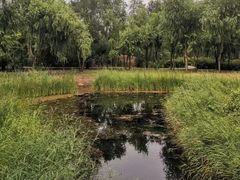 -群力丁香公园