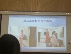 -北京安琪