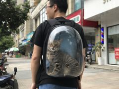 -谐和益家动物医院·免疫绝育·血液透析·宠保定点医院(高新伊藤分院)