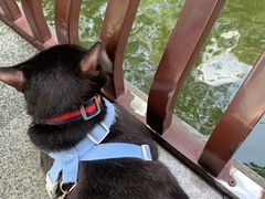 -荔湾湖公园