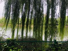 -西安汉城湖景区