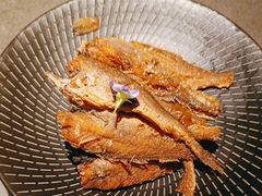 -前海沿·青岛菜(大拇指广场石老人店)