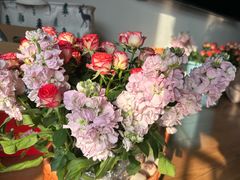 -循礼门鲜花花市(武汉循礼门店)