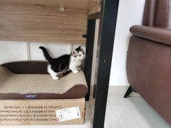 -长沙纹身·龙堂刺青·三土师傅的店