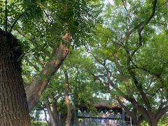 -北京国子监胡同