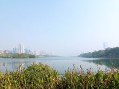 -南宁南湖公园