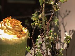 抹茶星冰乐-覔時