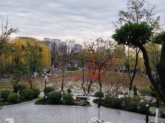 -莲湖公园