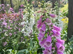 -人民公园(罗湖区)