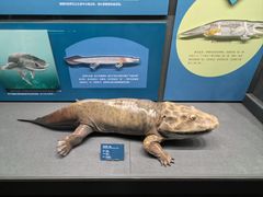 -国家自然博物馆