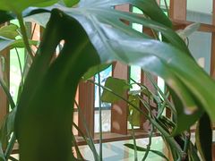 -Wagas沃歌斯(星荟中心店)