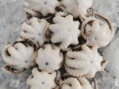 -铭聚章鱼土笋冻(松柏店)