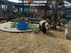 -大连森林动物园