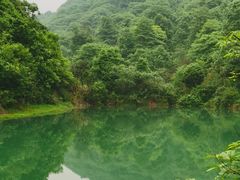 -桃花岭景区