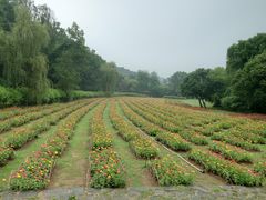 -萨尔浒风景区