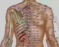 -名发世家烫染