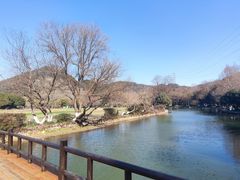 -八卦田遗址公园
