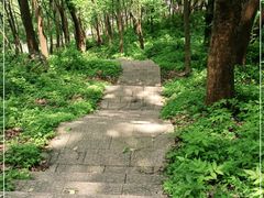 -汤山公园