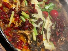 -老板恋上鱼(恒隆广场店)