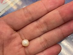 -新辉港式茶餐厅(北栅店)