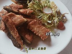 -一棵树·意大利西餐厅One Tree(新城店)