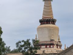 -张掖大佛寺景区