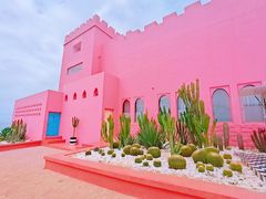 -漳州滨海火山岛自然生态风景区